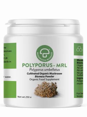 Polyporus-MRL 250g Powder