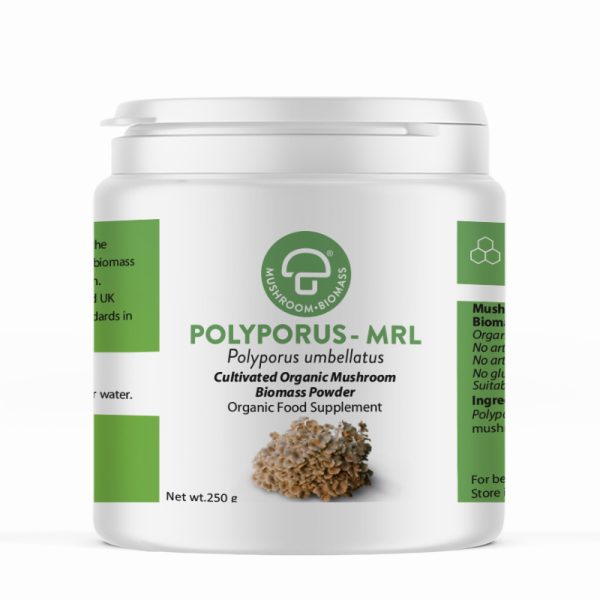 Polyporus-MRL 250g Powder